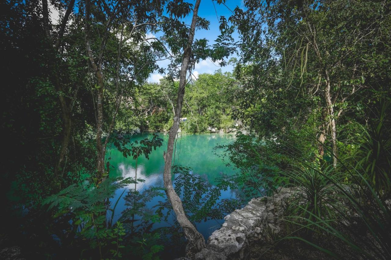 Wakax Hacienda - Cenote & Boutique Hotel Tulum Exterior photo