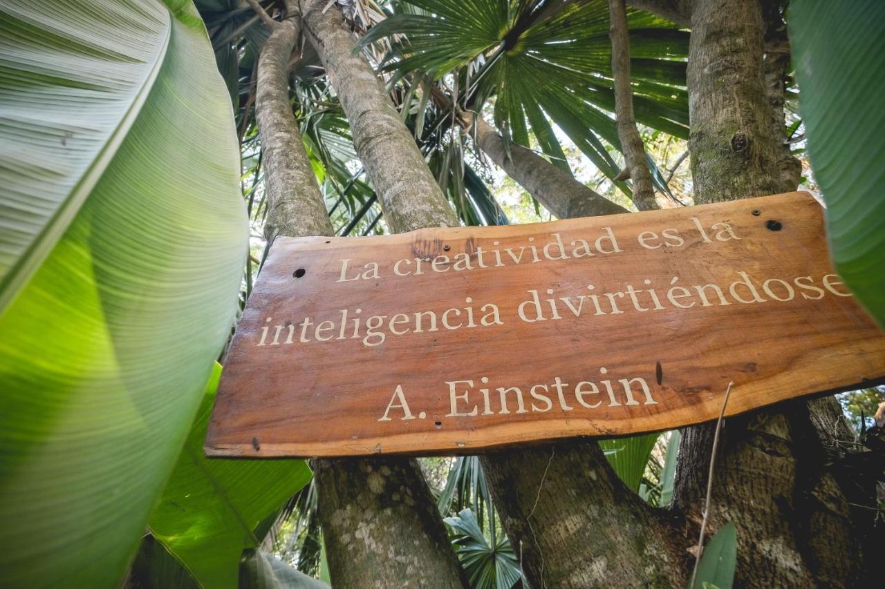 Wakax Hacienda - Cenote & Boutique Hotel Tulum Exterior photo